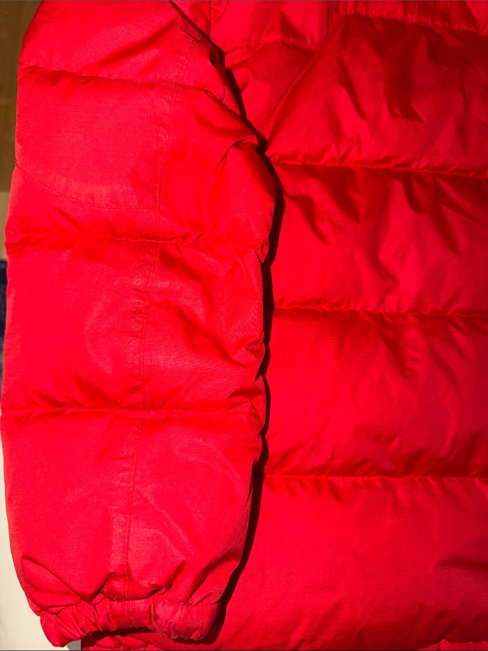 Polo by Ralph Lauren Kids Bright Red Puffer Jacket with Hood - Picture 9 of 9